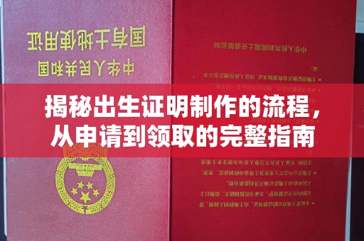 武陟揭秘出生证明制作的流程，从申请到领取的完整指南