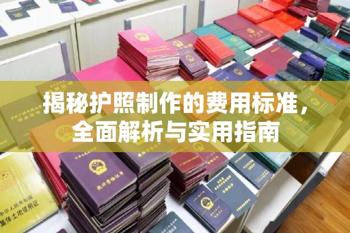 武陟揭秘护照制作的费用标准，全面解析与实用指南