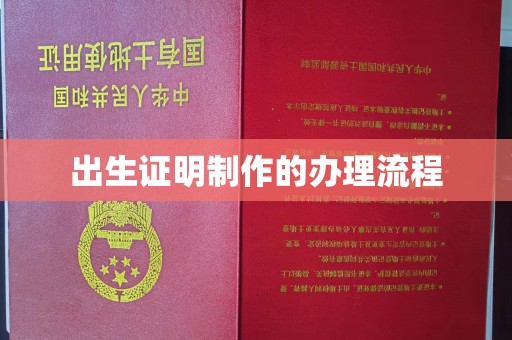 武陟出生证明制作的办理流程