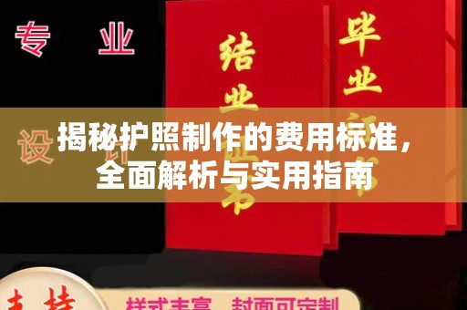 武陟揭秘护照制作的费用标准，全面解析与实用指南