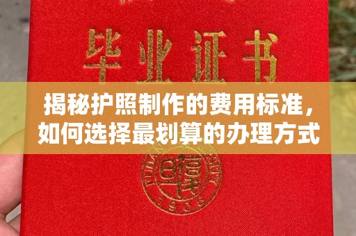 武陟揭秘护照制作的费用标准，如何选择最划算的办理方式？