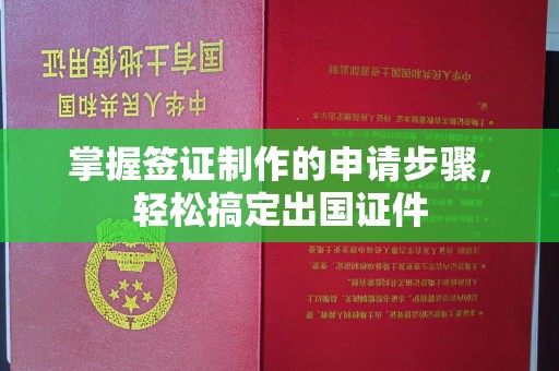 武陟掌握签证制作的申请步骤，轻松搞定出国证件