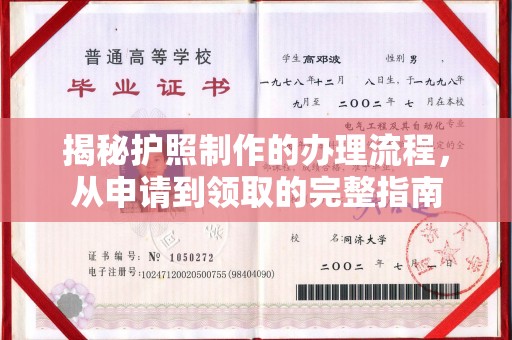 武陟揭秘护照制作的办理流程，从申请到领取的完整指南