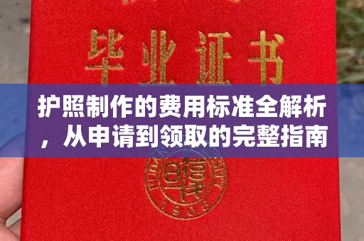 武陟护照制作的费用标准全解析，从申请到领取的完整指南